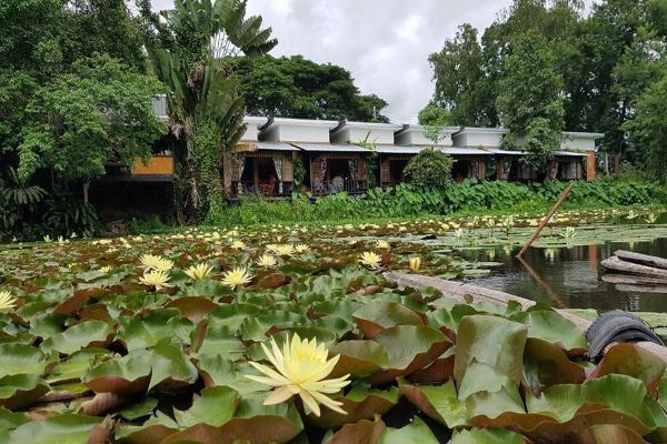 Saikaew Resort garden cottages Chiang Rai